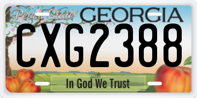 GA license plate CXG2388