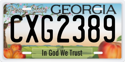 GA license plate CXG2389