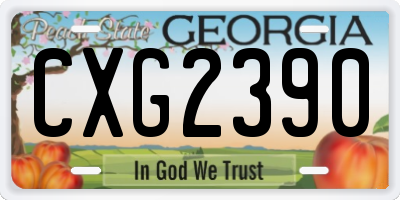 GA license plate CXG2390