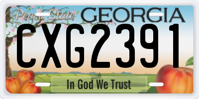 GA license plate CXG2391