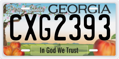 GA license plate CXG2393