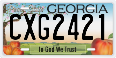 GA license plate CXG2421
