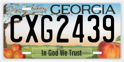 GA license plate CXG2439