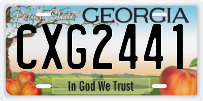 GA license plate CXG2441