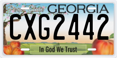 GA license plate CXG2442