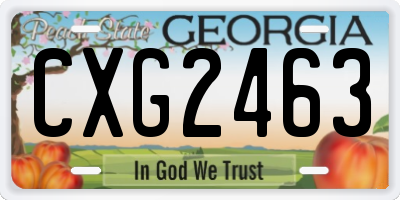 GA license plate CXG2463