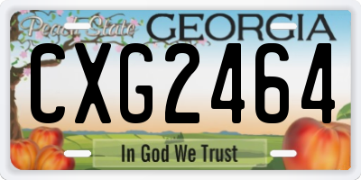 GA license plate CXG2464