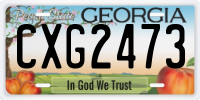 GA license plate CXG2473
