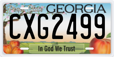 GA license plate CXG2499