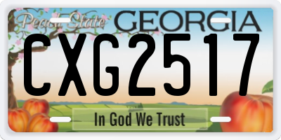 GA license plate CXG2517