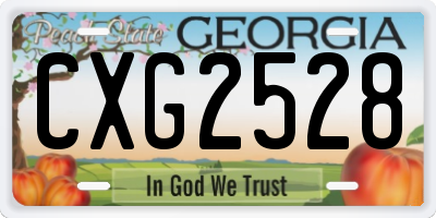 GA license plate CXG2528
