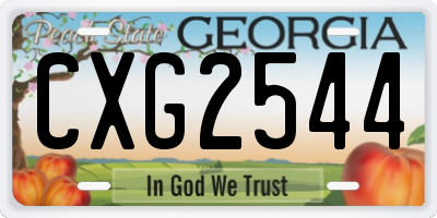 GA license plate CXG2544