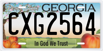 GA license plate CXG2564