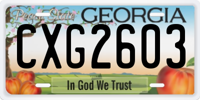GA license plate CXG2603