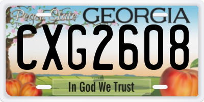 GA license plate CXG2608