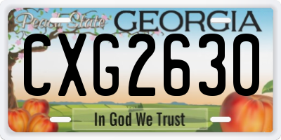 GA license plate CXG2630