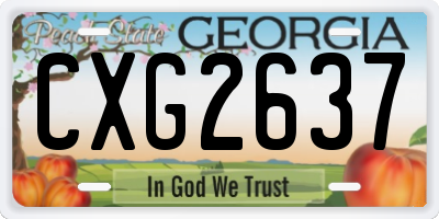GA license plate CXG2637