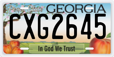 GA license plate CXG2645