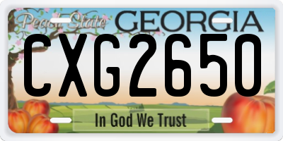 GA license plate CXG2650