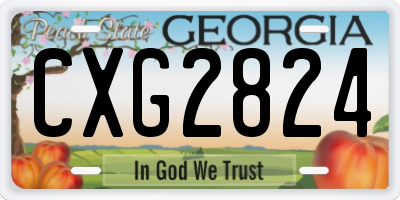 GA license plate CXG2824