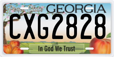GA license plate CXG2828