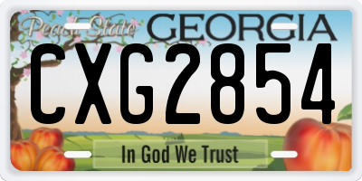 GA license plate CXG2854
