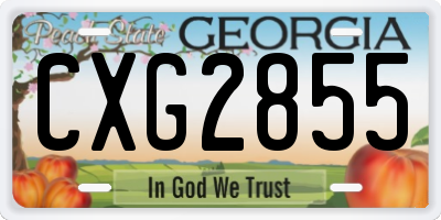 GA license plate CXG2855