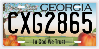 GA license plate CXG2865