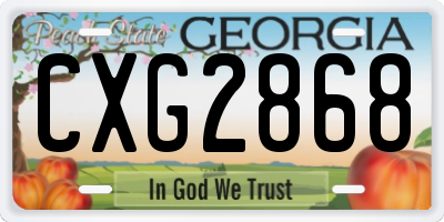 GA license plate CXG2868