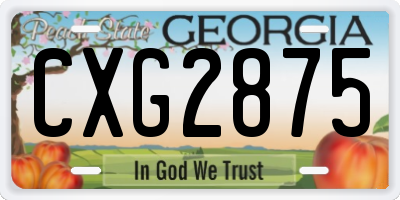 GA license plate CXG2875