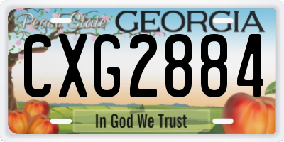 GA license plate CXG2884