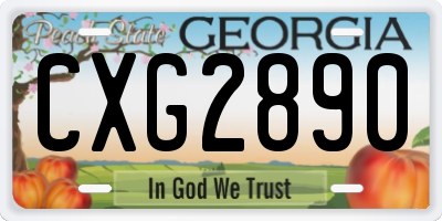 GA license plate CXG2890