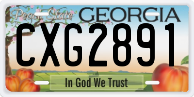 GA license plate CXG2891