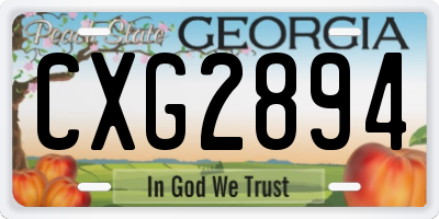 GA license plate CXG2894