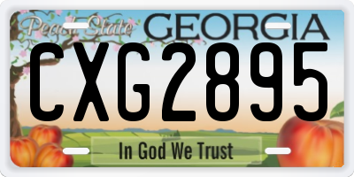GA license plate CXG2895