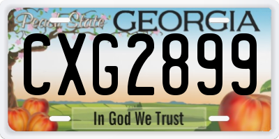 GA license plate CXG2899