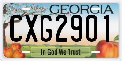GA license plate CXG2901