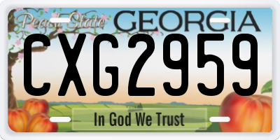 GA license plate CXG2959