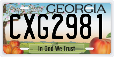 GA license plate CXG2981