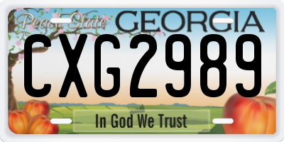 GA license plate CXG2989