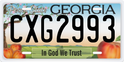 GA license plate CXG2993