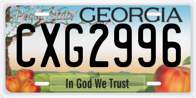 GA license plate CXG2996