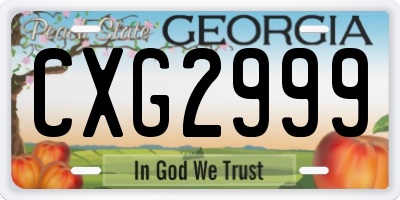 GA license plate CXG2999