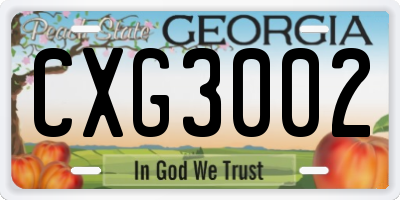 GA license plate CXG3002