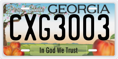 GA license plate CXG3003