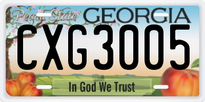 GA license plate CXG3005