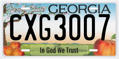 GA license plate CXG3007