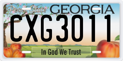 GA license plate CXG3011