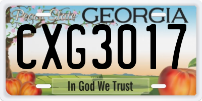 GA license plate CXG3017