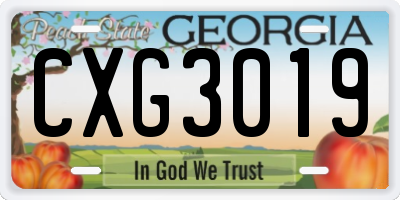 GA license plate CXG3019
